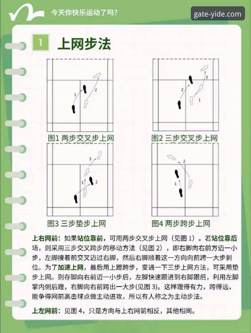 亿德体育赛事资讯教程详解——新手快速上手指南